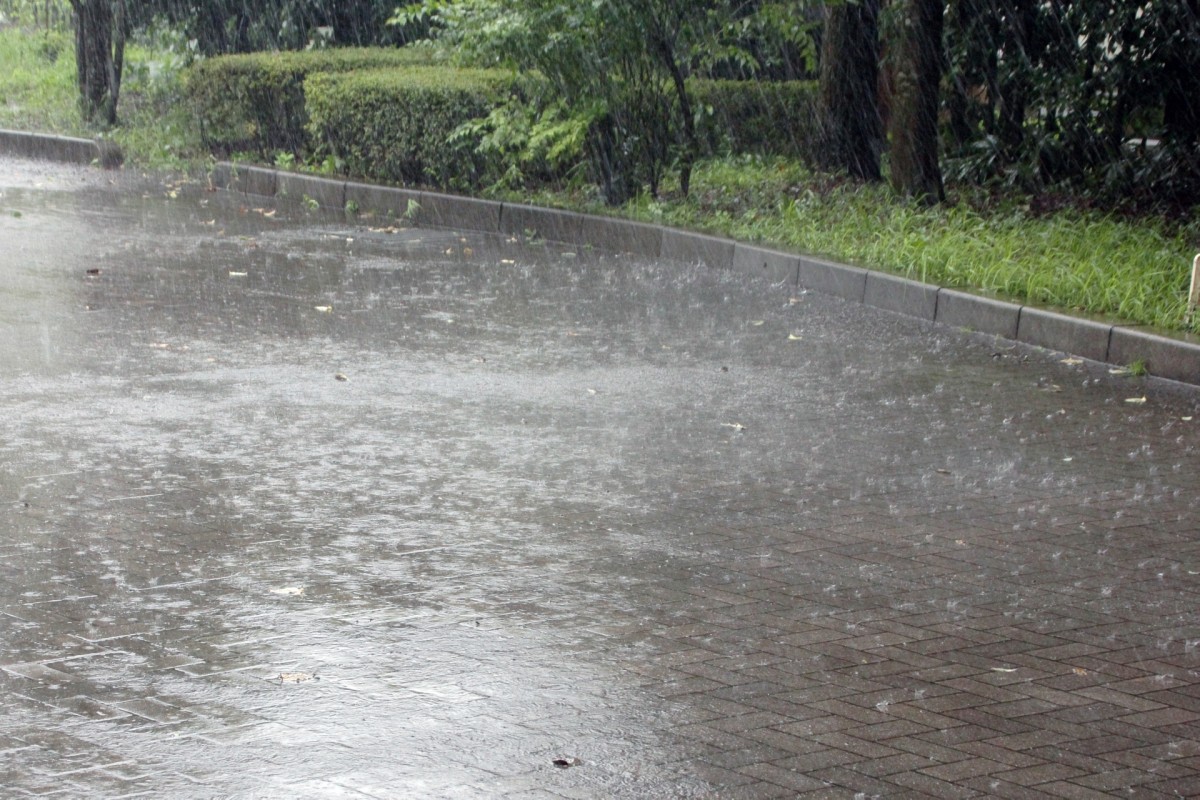 梅雨入り