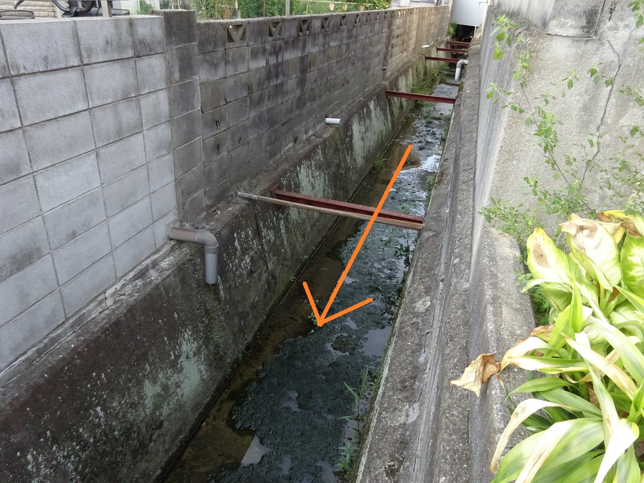 生活排水溝