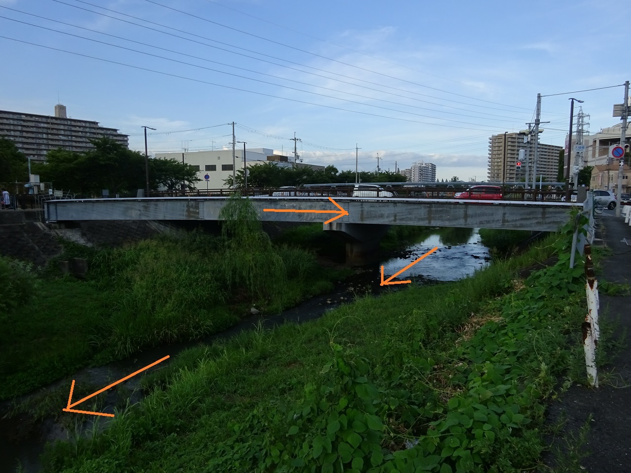 天王寺川と昆陽井川がクロス