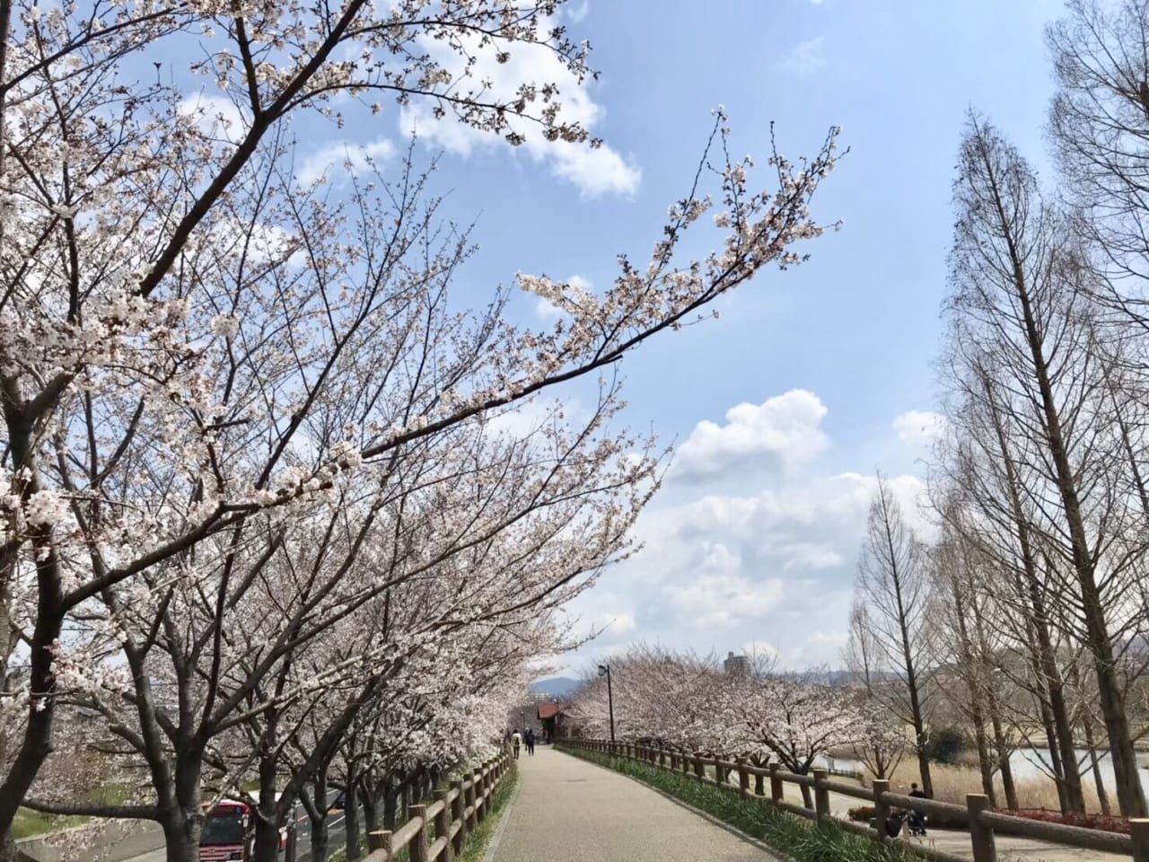 tisuiryokuti 治水緑地公園