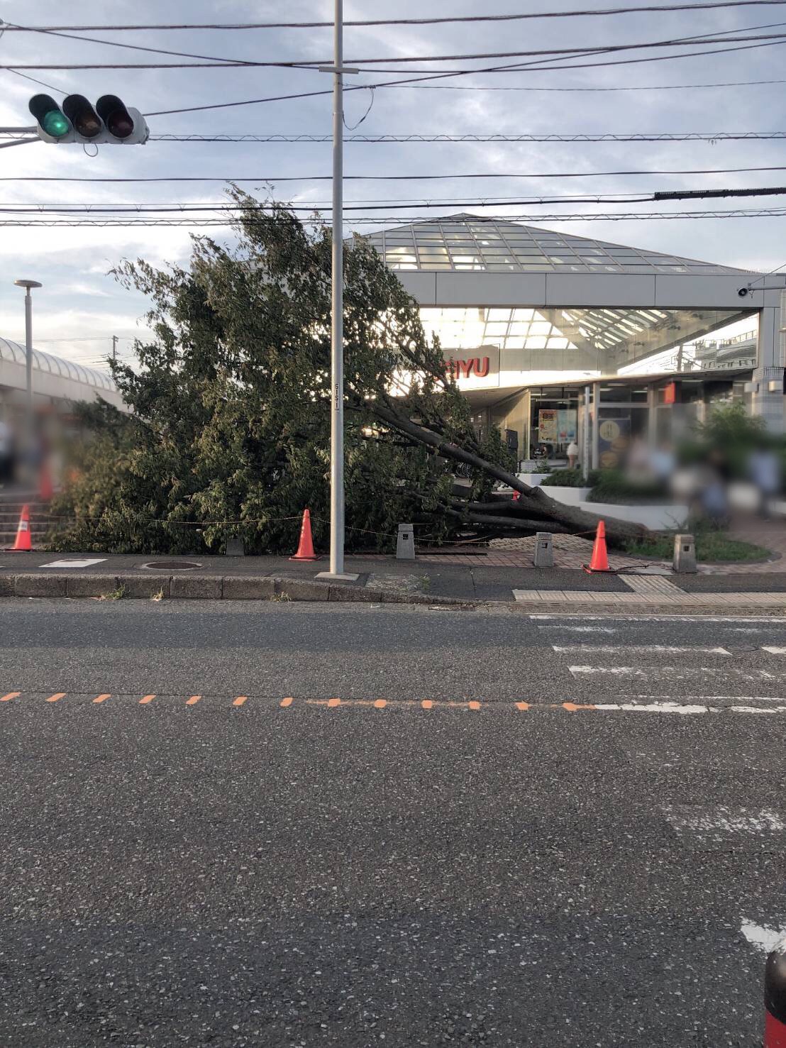 横須賀市】台風15号の被害が市内でたくさん出ています