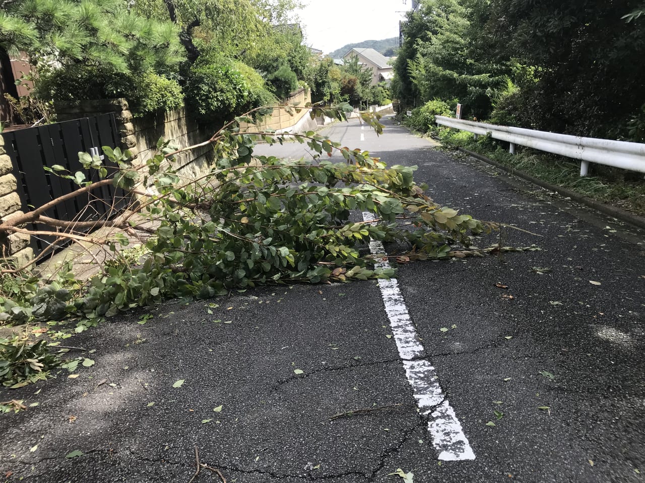 横須賀市】台風15号の被害が市内でたくさん出ています