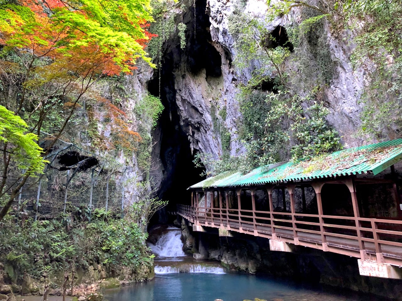 下関市 山口県の観光には やまぐち幕末ishinきっぷがお得です 9 000円で3日間下関駅から岩国駅までのjr バスが乗り放題に 彡 号外net 下関市