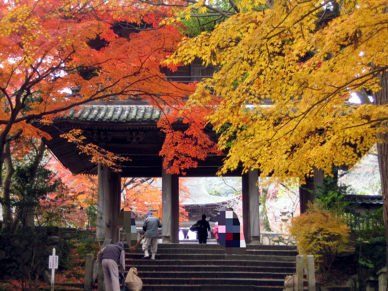 下関市 功山寺の紅葉は 11月中旬から12月上旬が見頃です 号外net 下関市