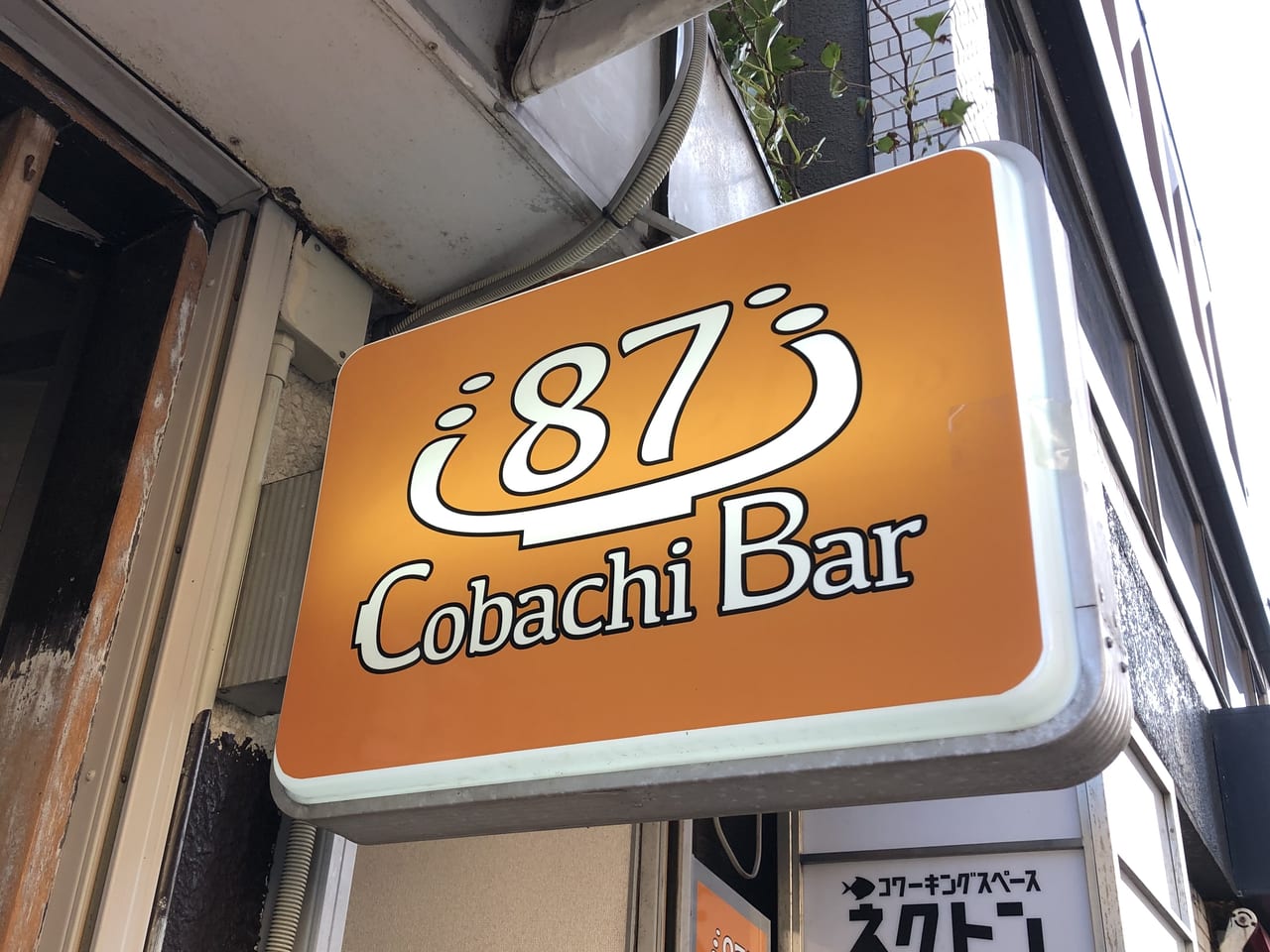藤沢市 新規オープン 隠れ家にしたい居酒屋 Cobachi Bar87 話しやすい気さくな店長さん おひとりさまもお気軽に 号外net 藤沢市